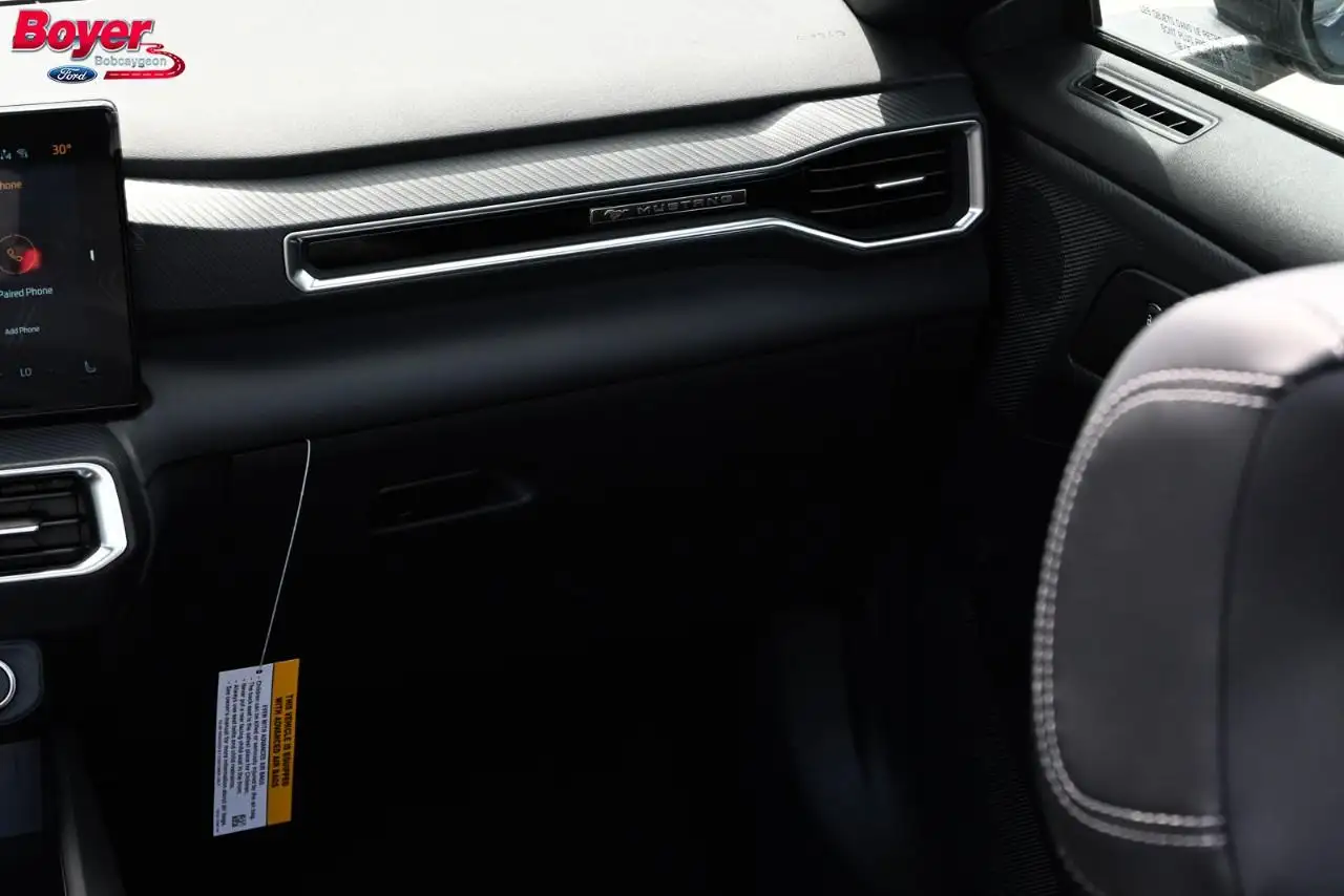 Ford Mustang - Image 21