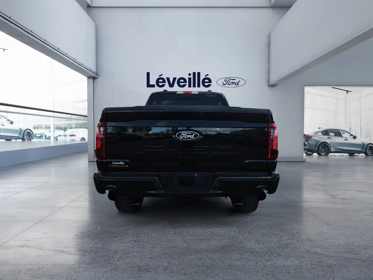 Ford F-150 - Image 3