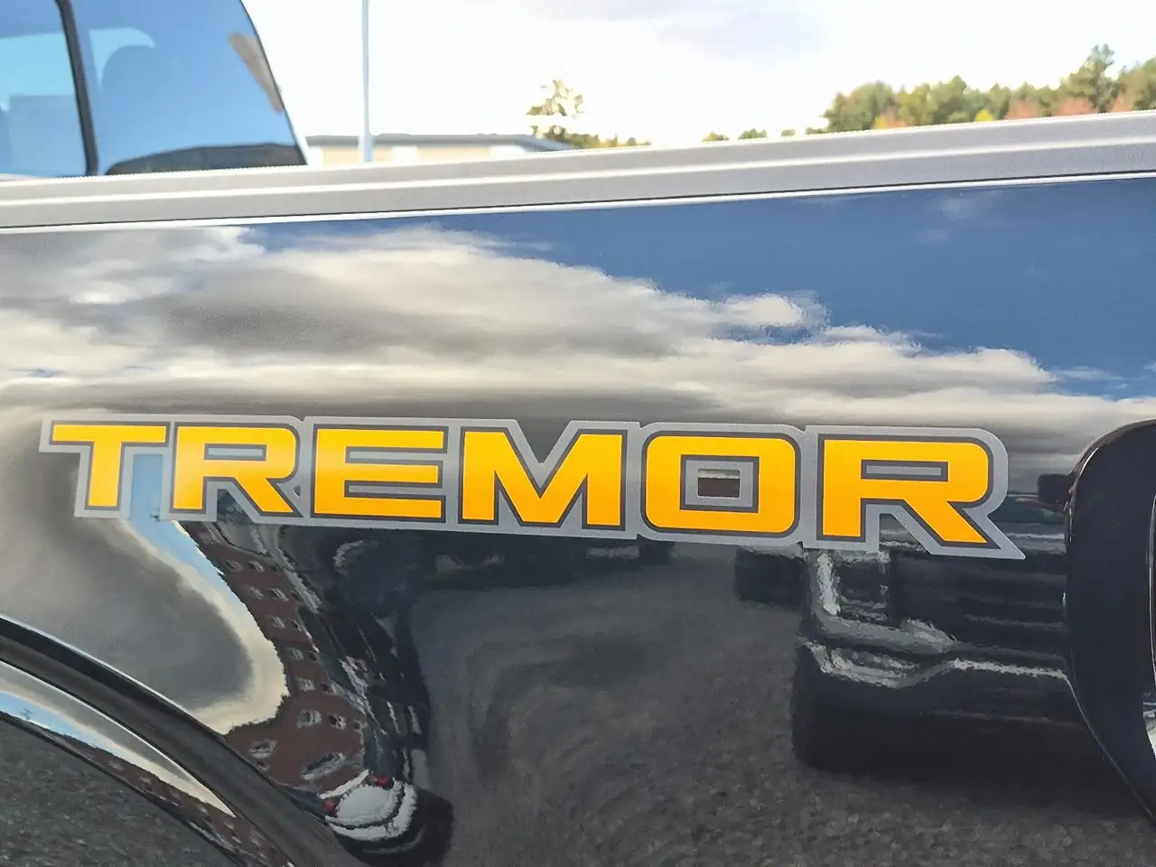 Ford F-150 - Image 8