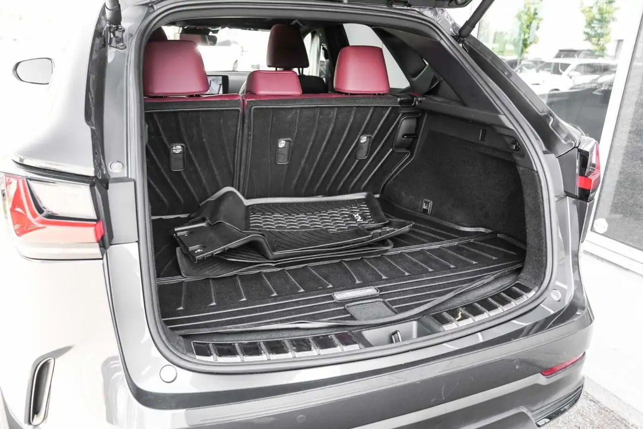 Lexus NX - Image 38