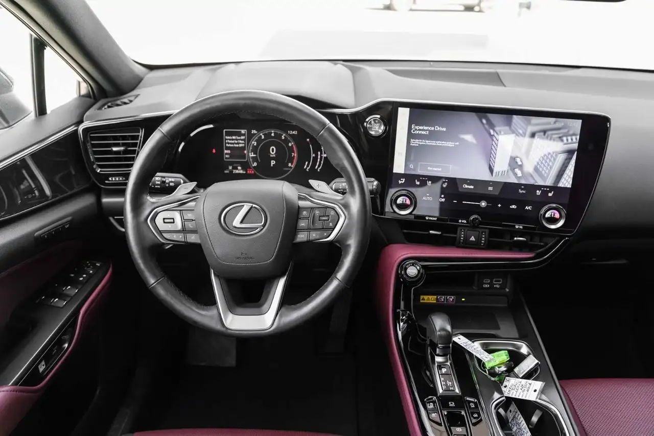 Lexus NX - Image 23