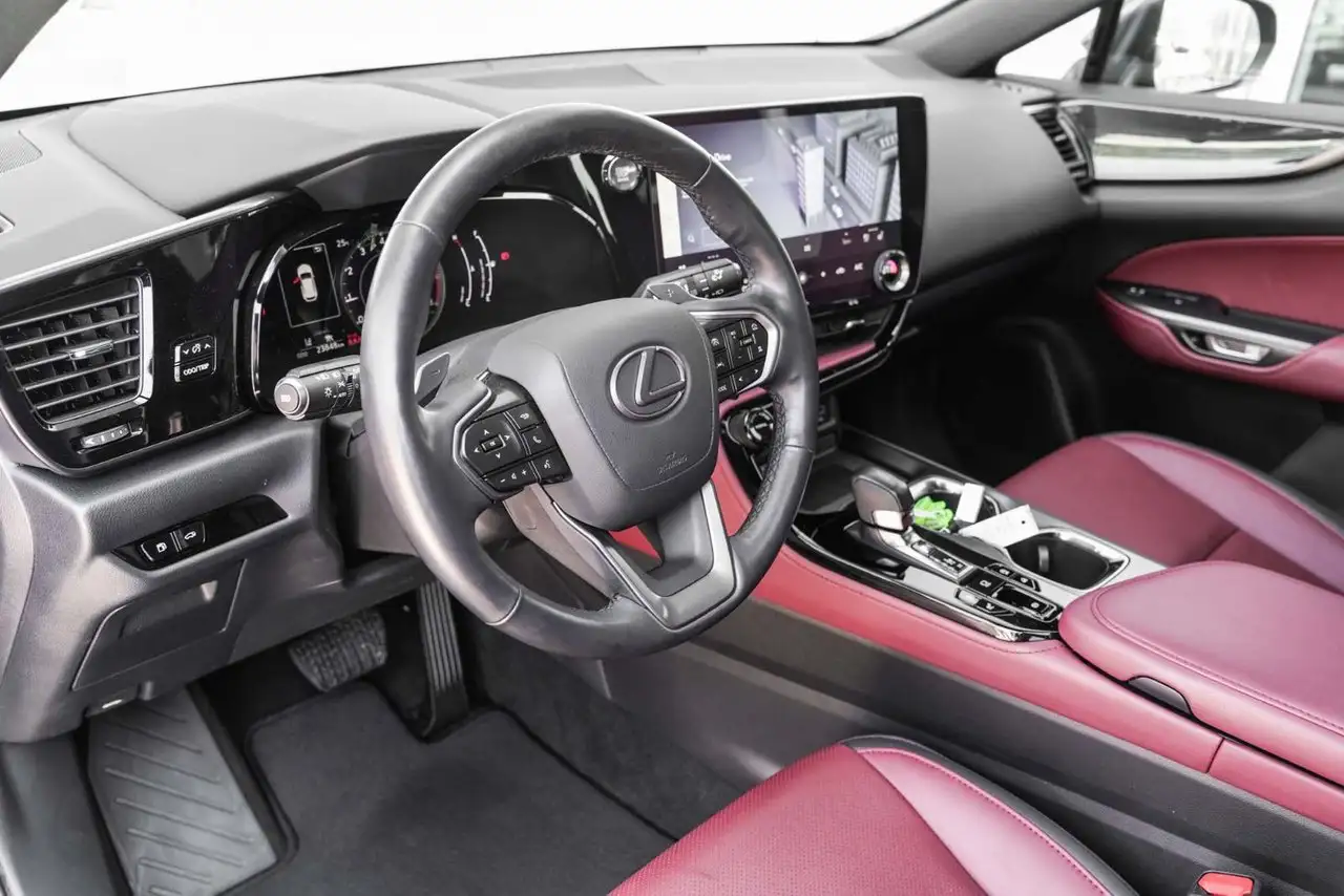 Lexus NX - Image 20