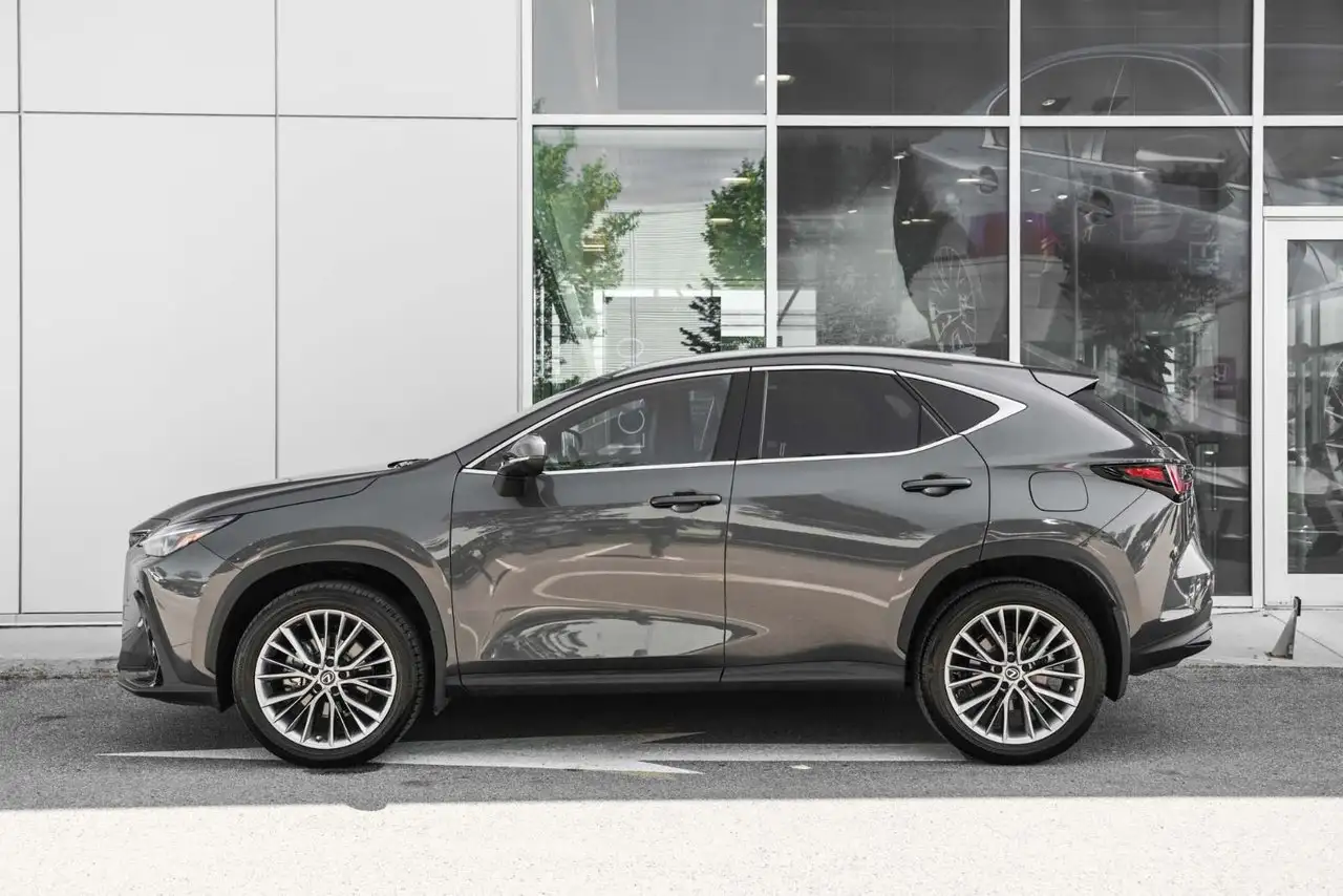 Lexus NX - Image 5