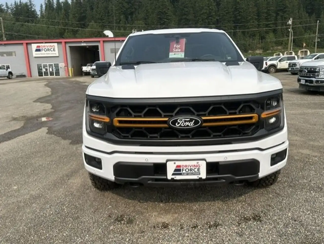 Ford F-150 - Image 9