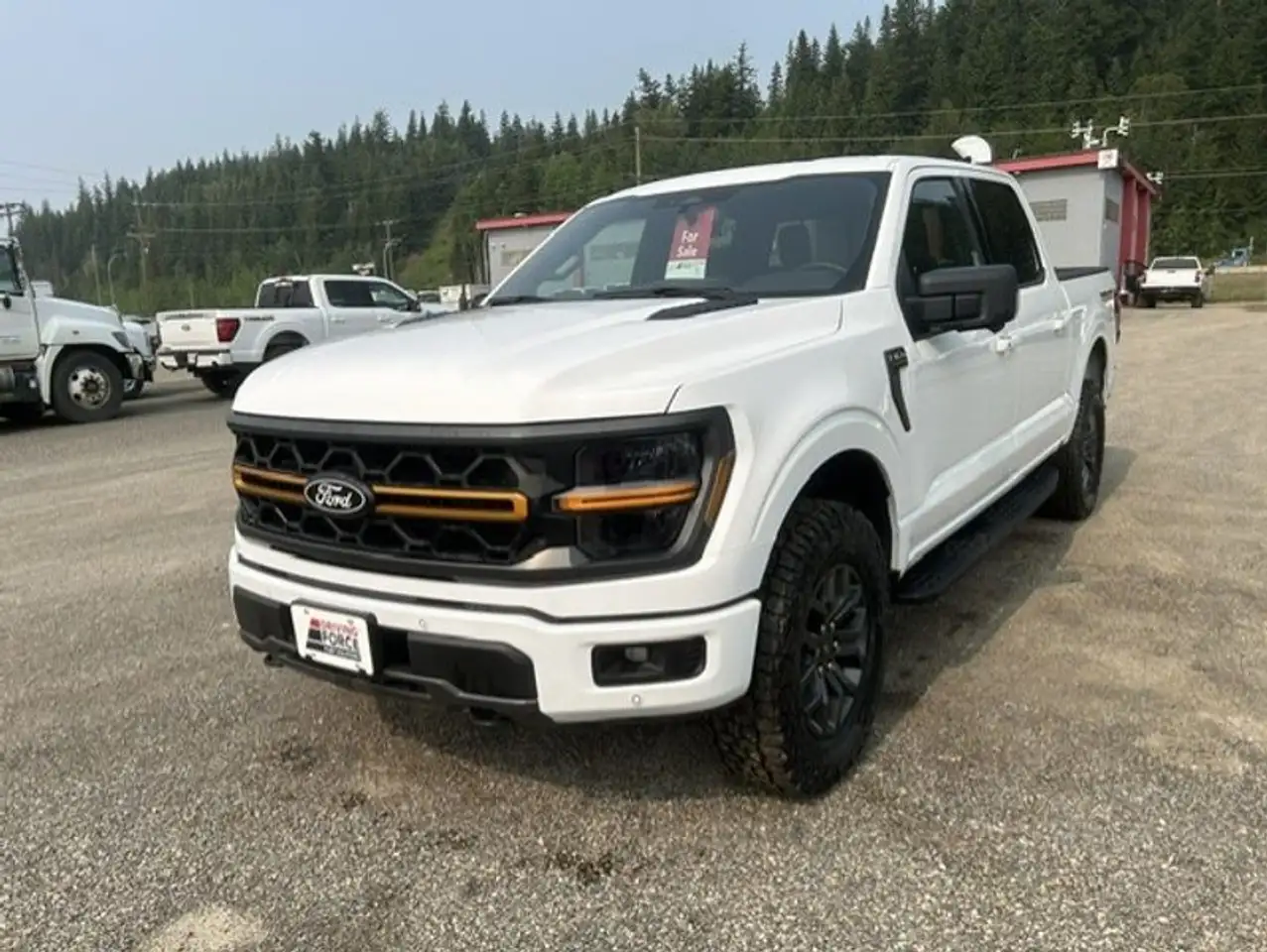 Ford F-150 - Image 1
