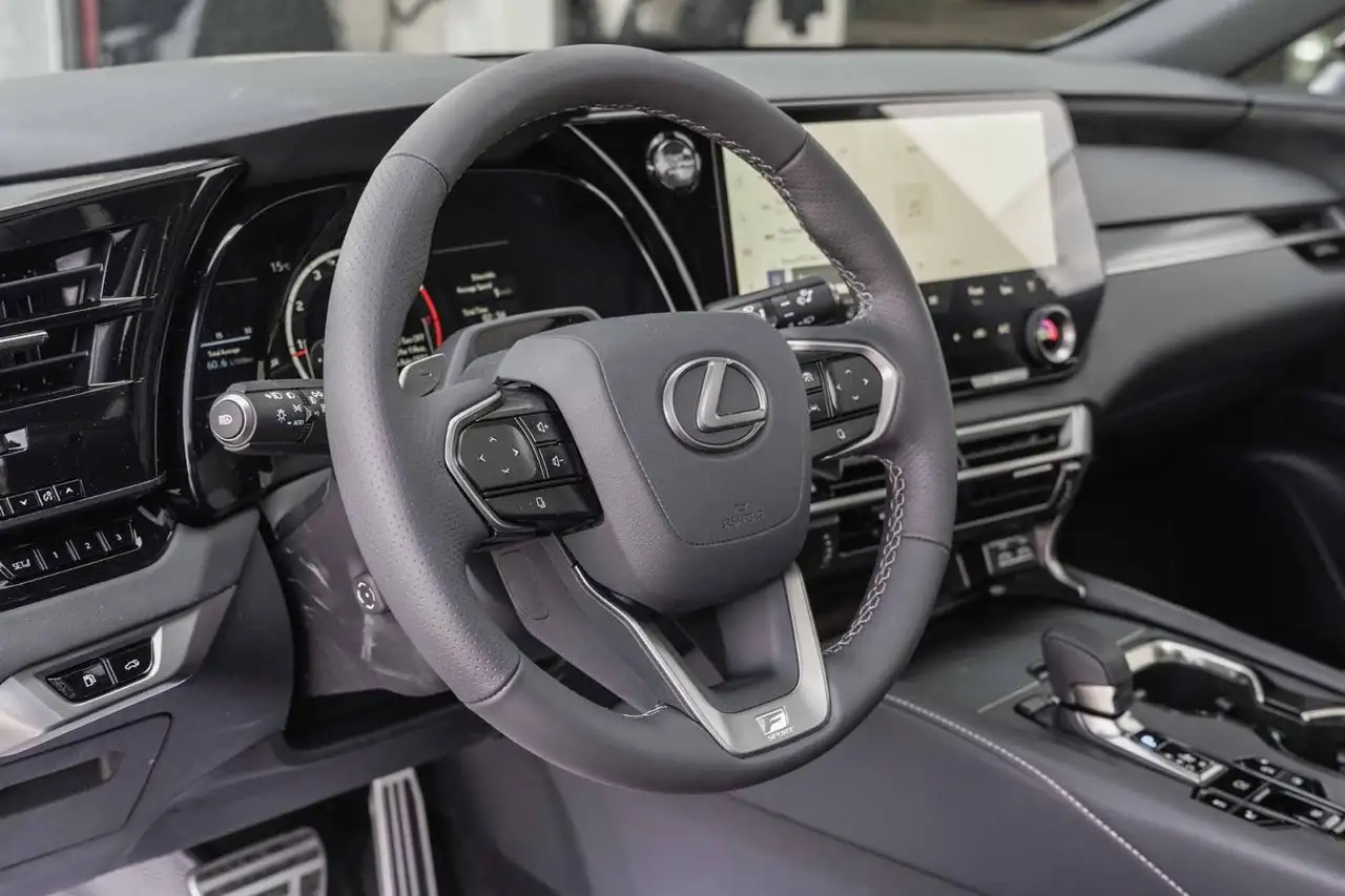 Lexus RX - Image 11