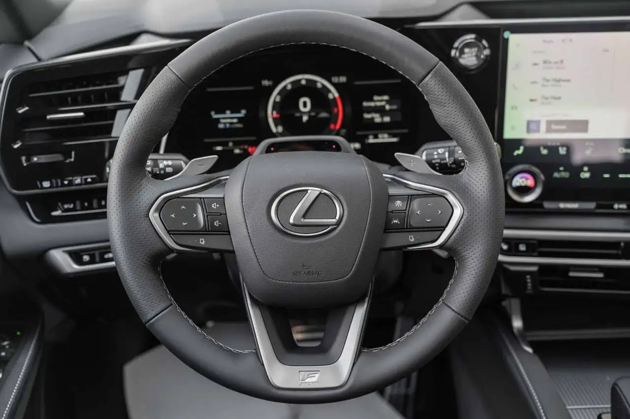 Lexus RX - Image 16
