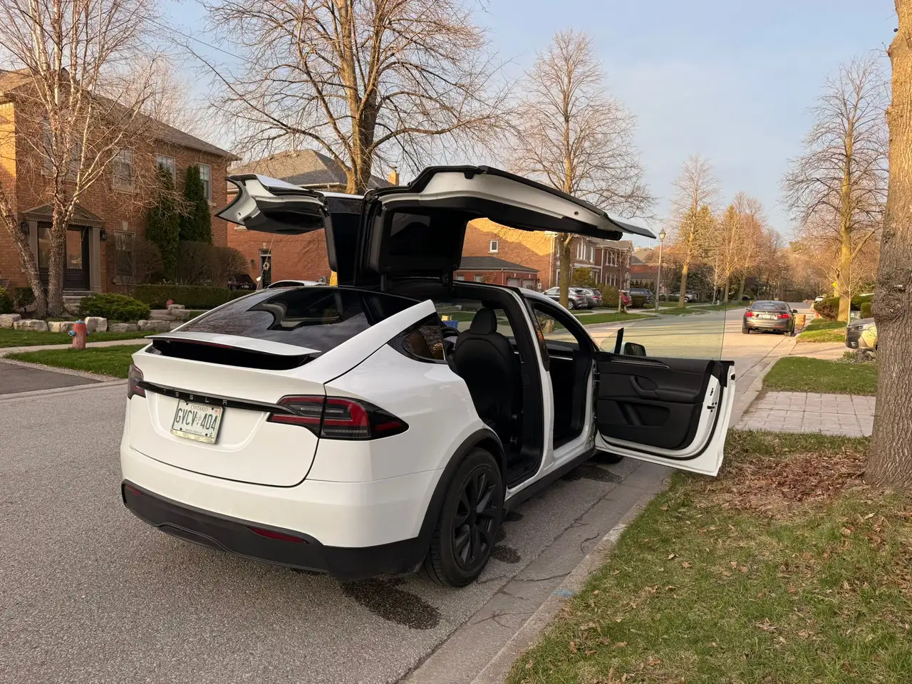Tesla Model X - Image 15