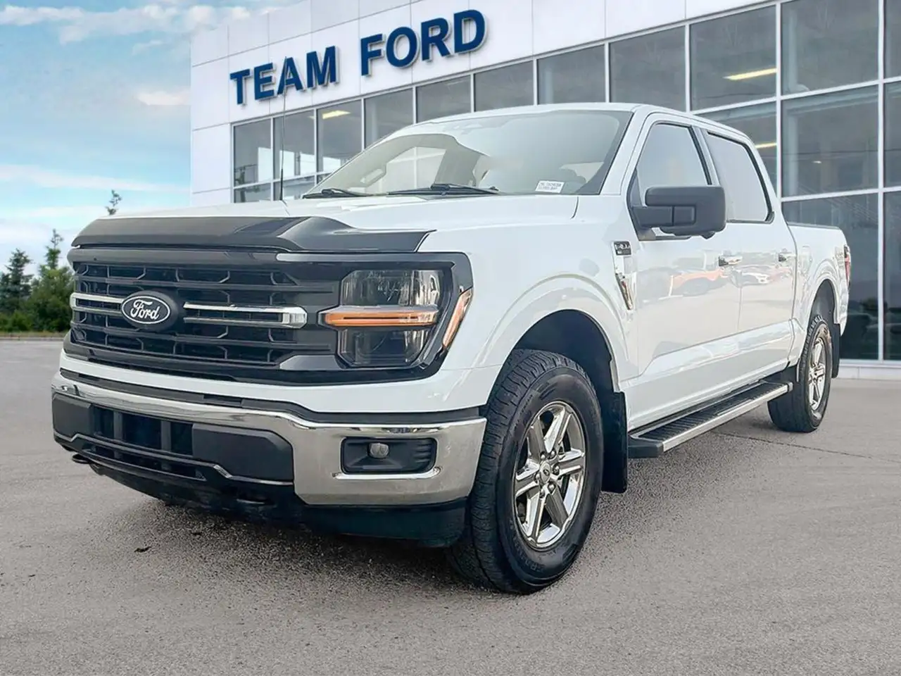 Ford F-150 - Image 1
