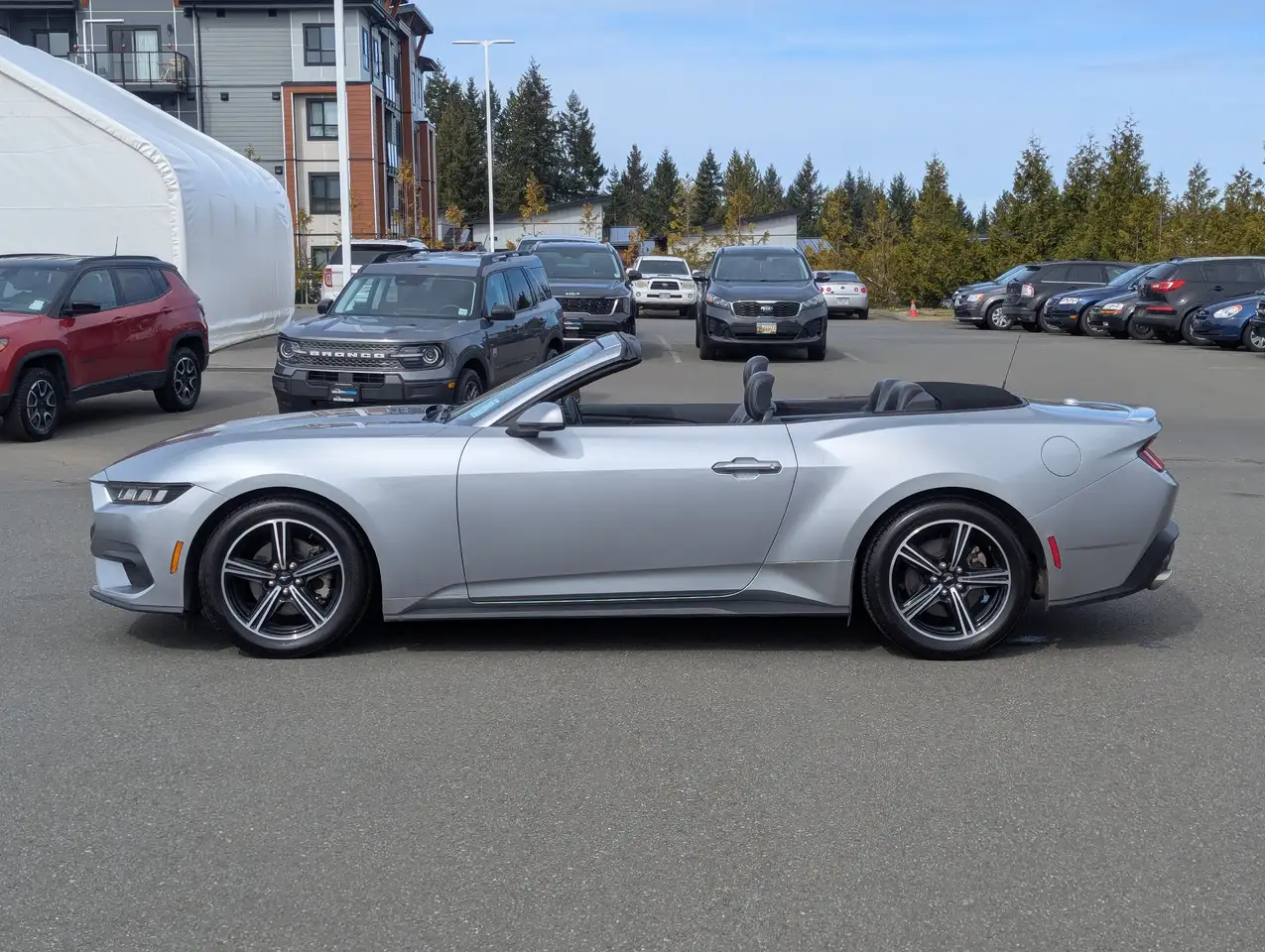 Ford Mustang - Image 10