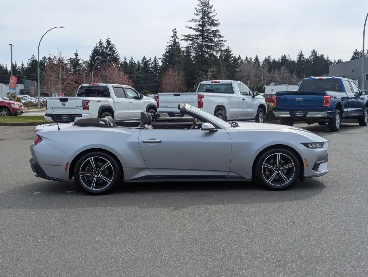 Ford Mustang - Image 6