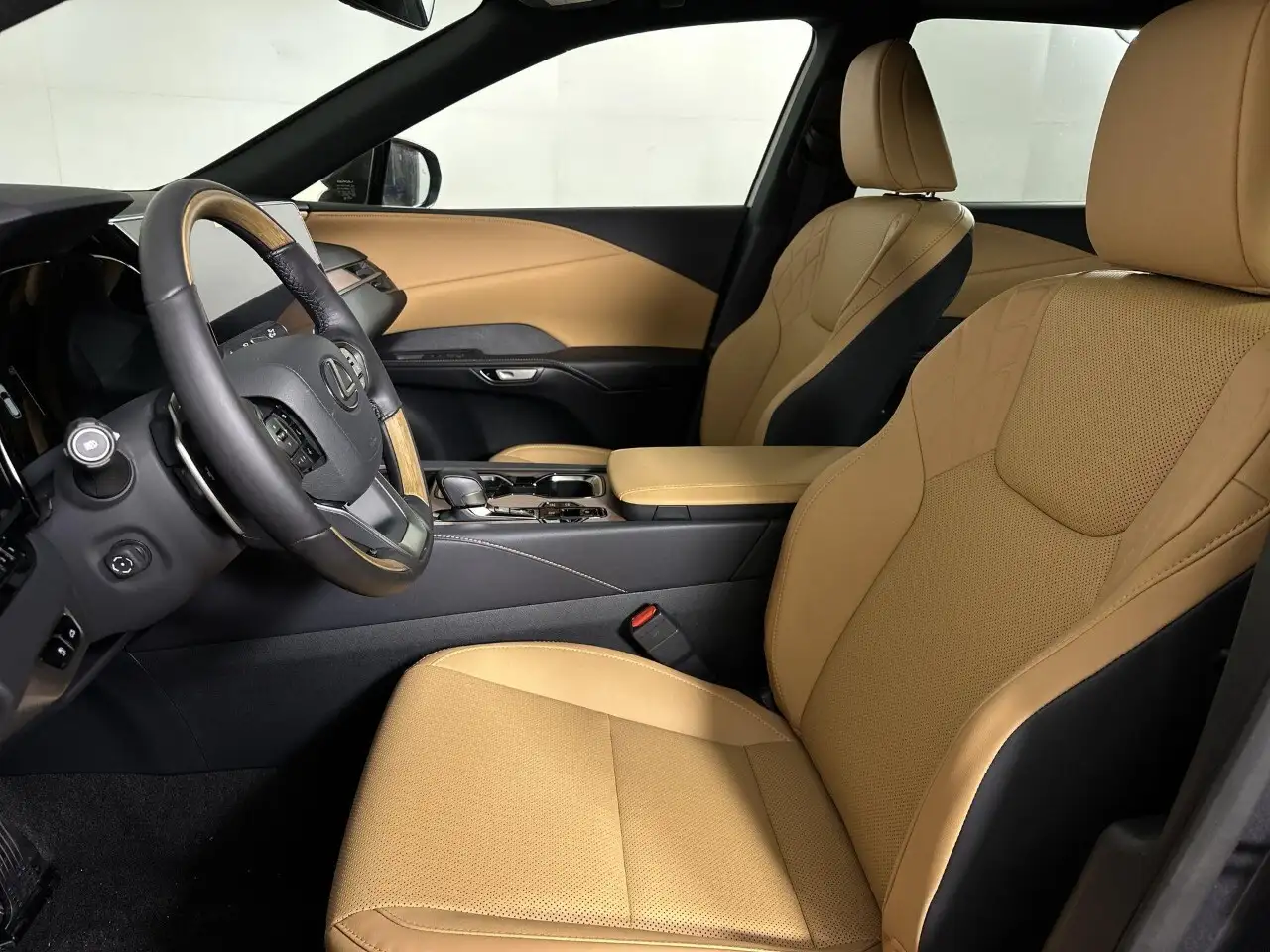 Lexus RX - Image 12