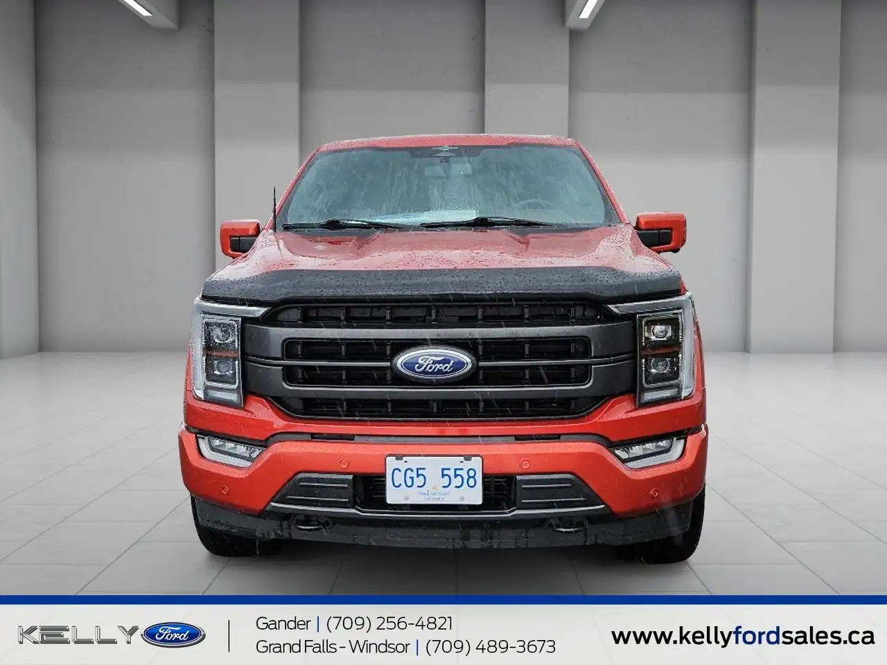 Ford F-150 - Image 2