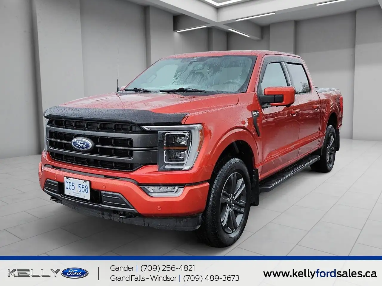 Ford F-150 - Image 1