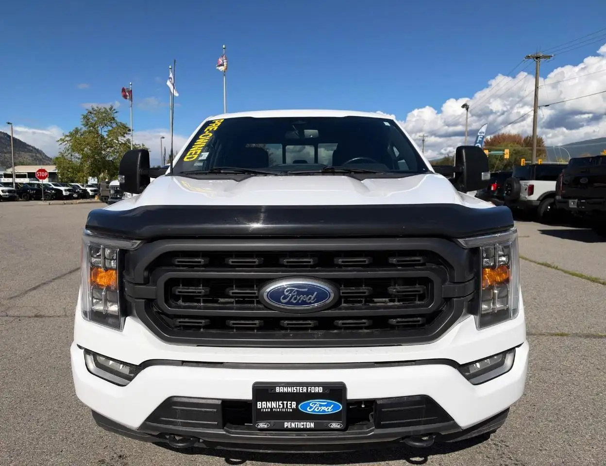 Ford F-150 - Image 7