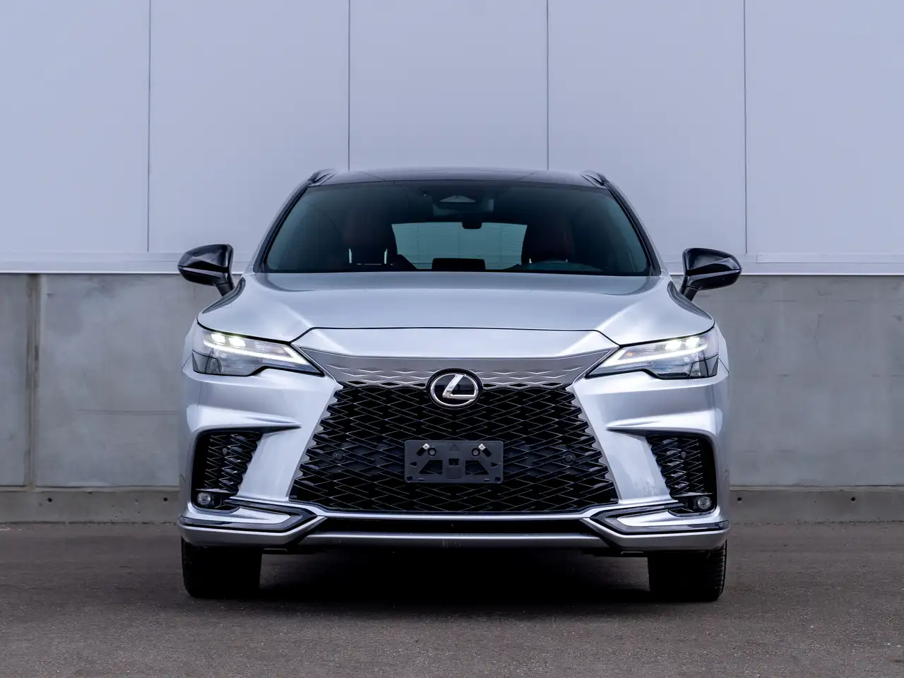 Lexus RX - Image 4