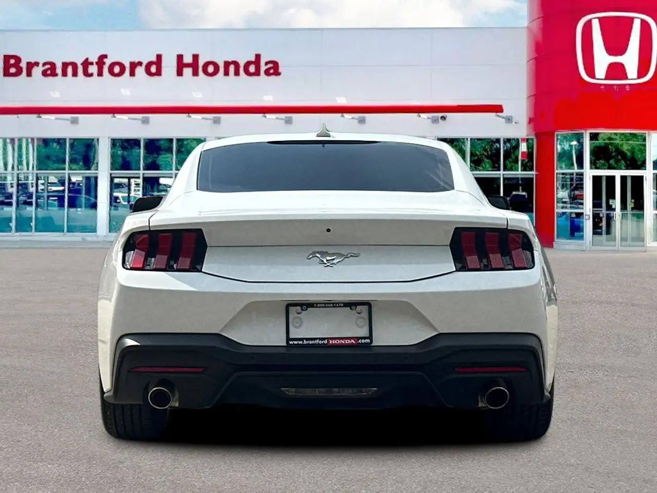 Ford Mustang - Image 6