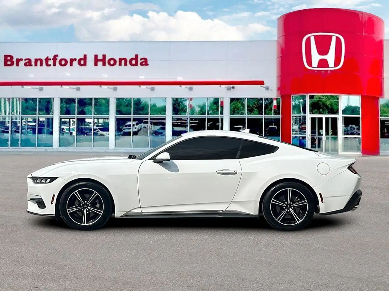 Ford Mustang - Image 2