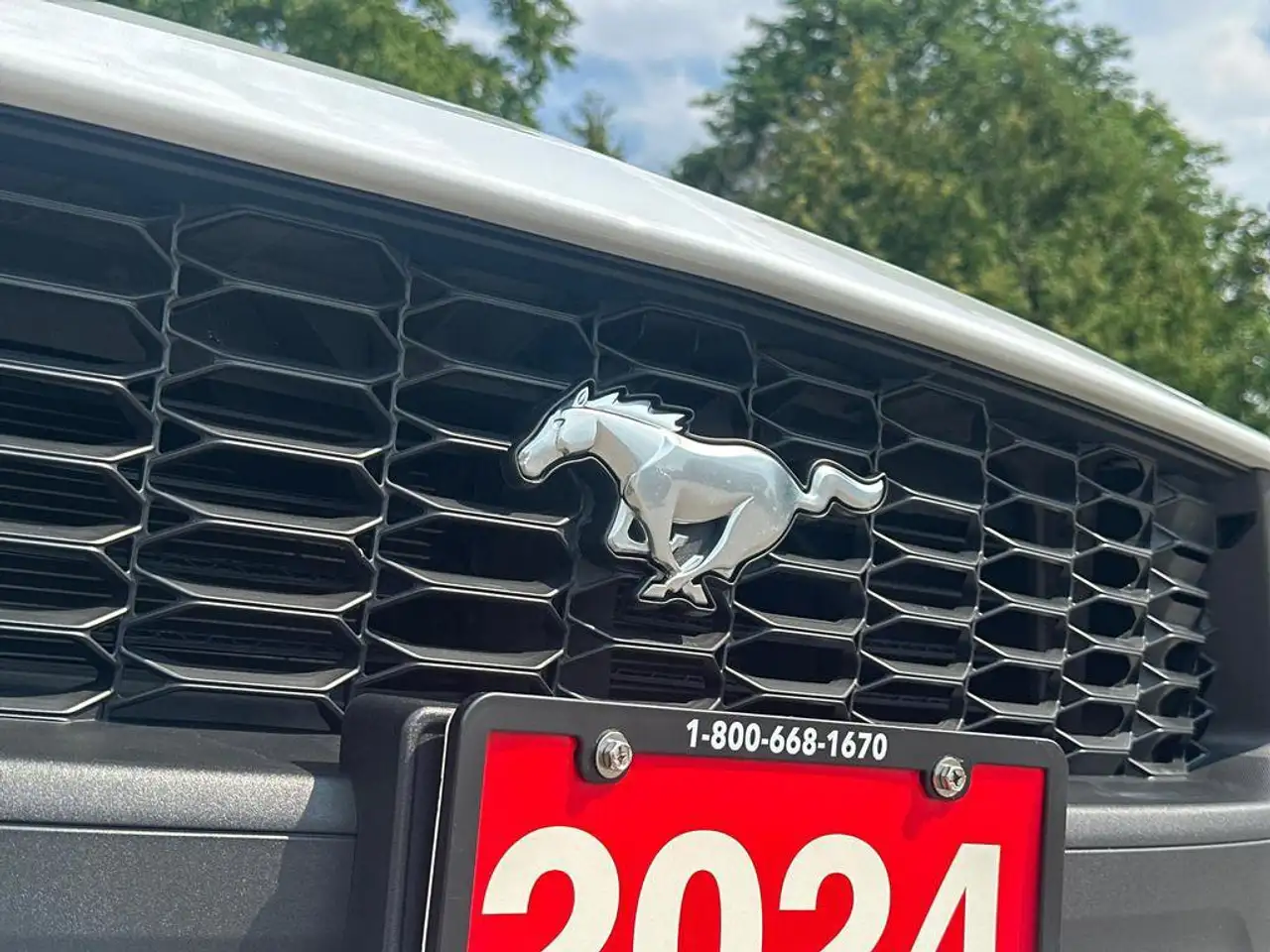 Ford Mustang - Image 13