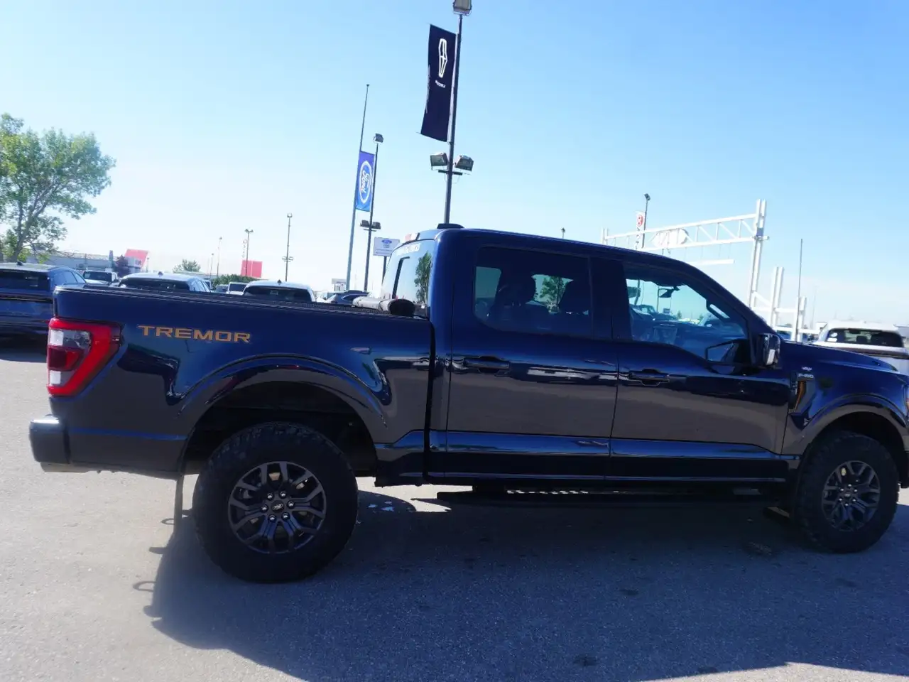 Ford F-150 - Image 8