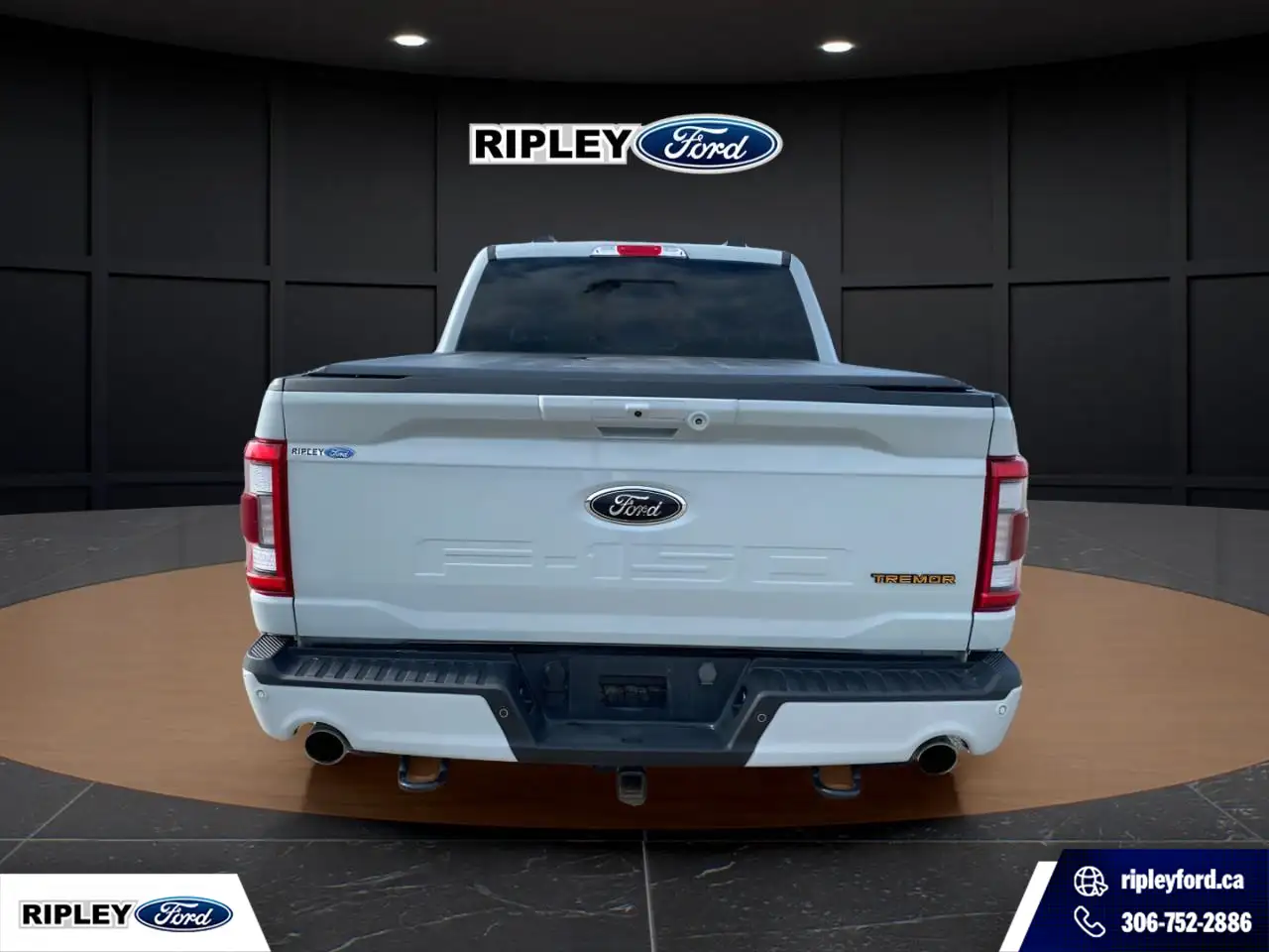 Ford F-150 - Image 8