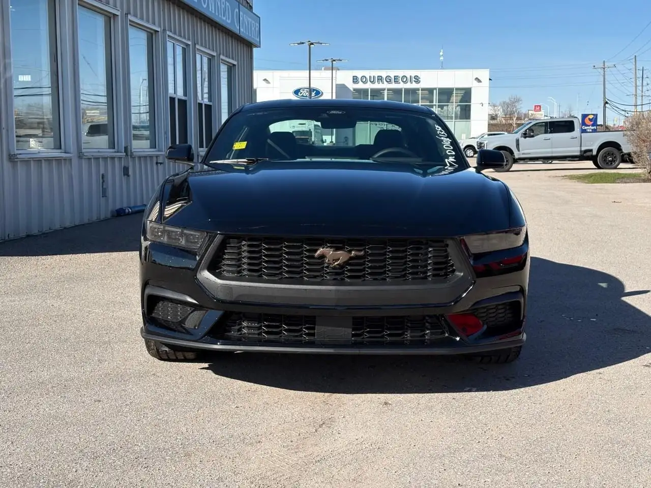 Ford Mustang - Image 4