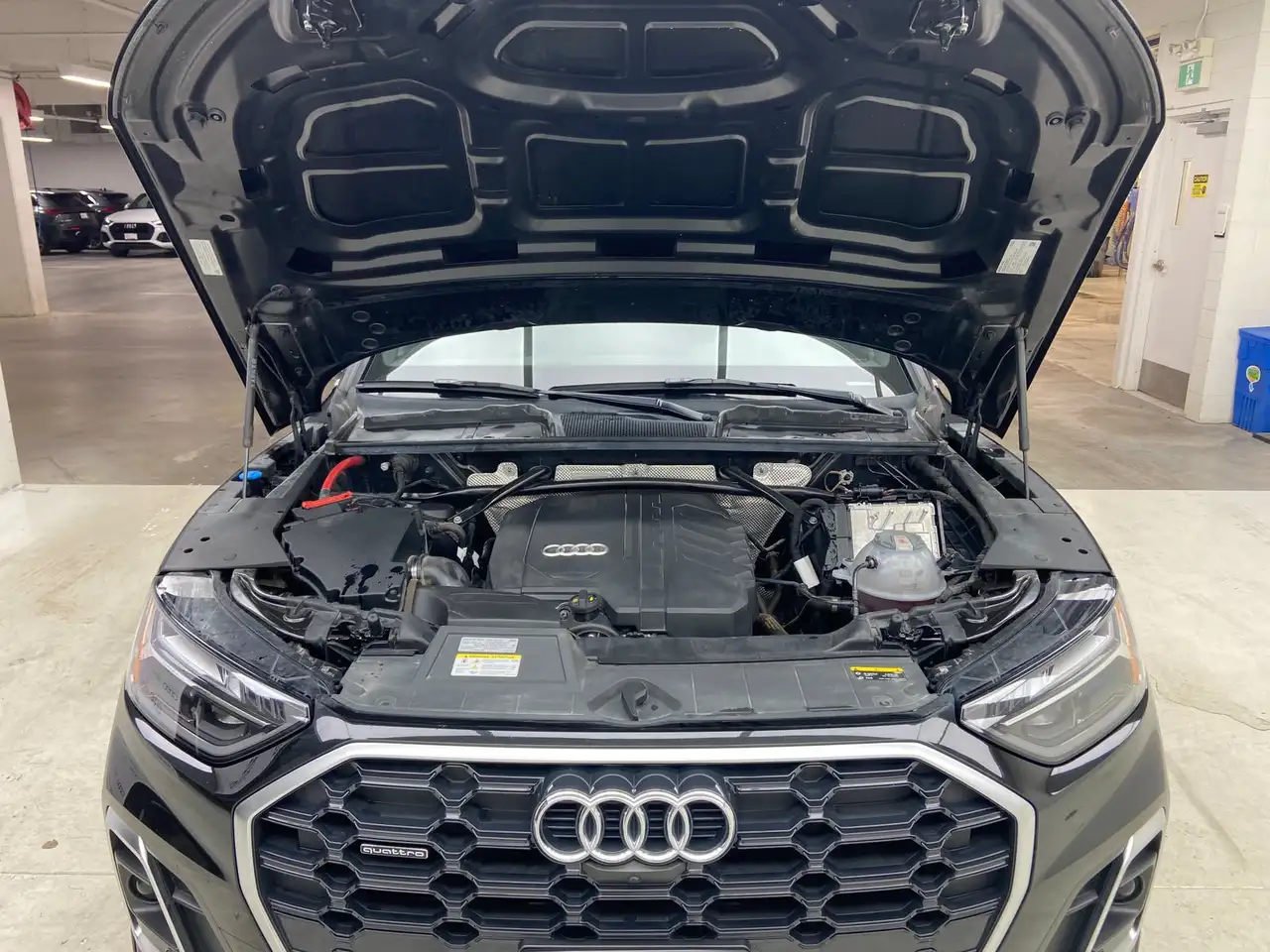 Audi Q5 - Image 16