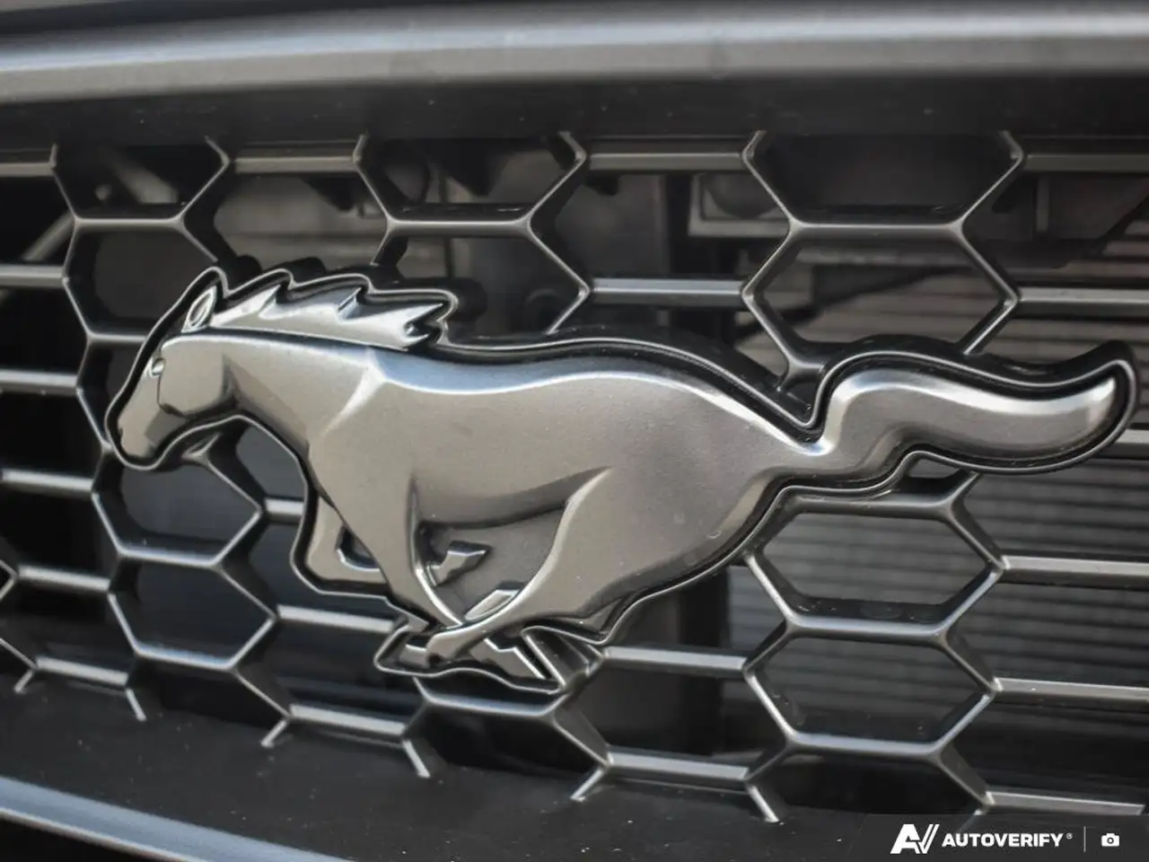 Ford Mustang - Image 11