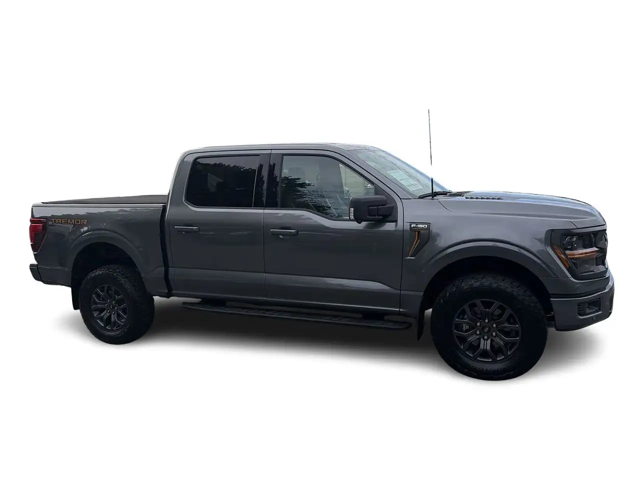 Ford F-150 - Image 17