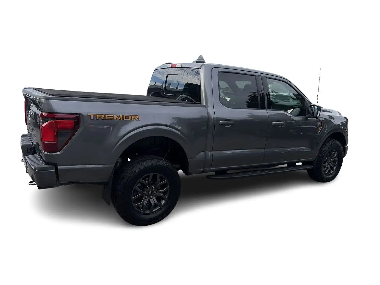 Ford F-150 - Image 14