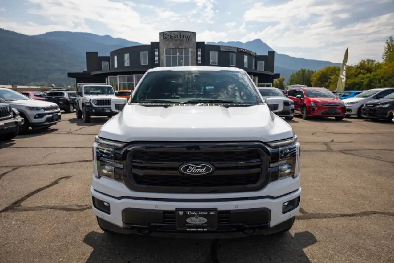 Ford F-150 - Image 3