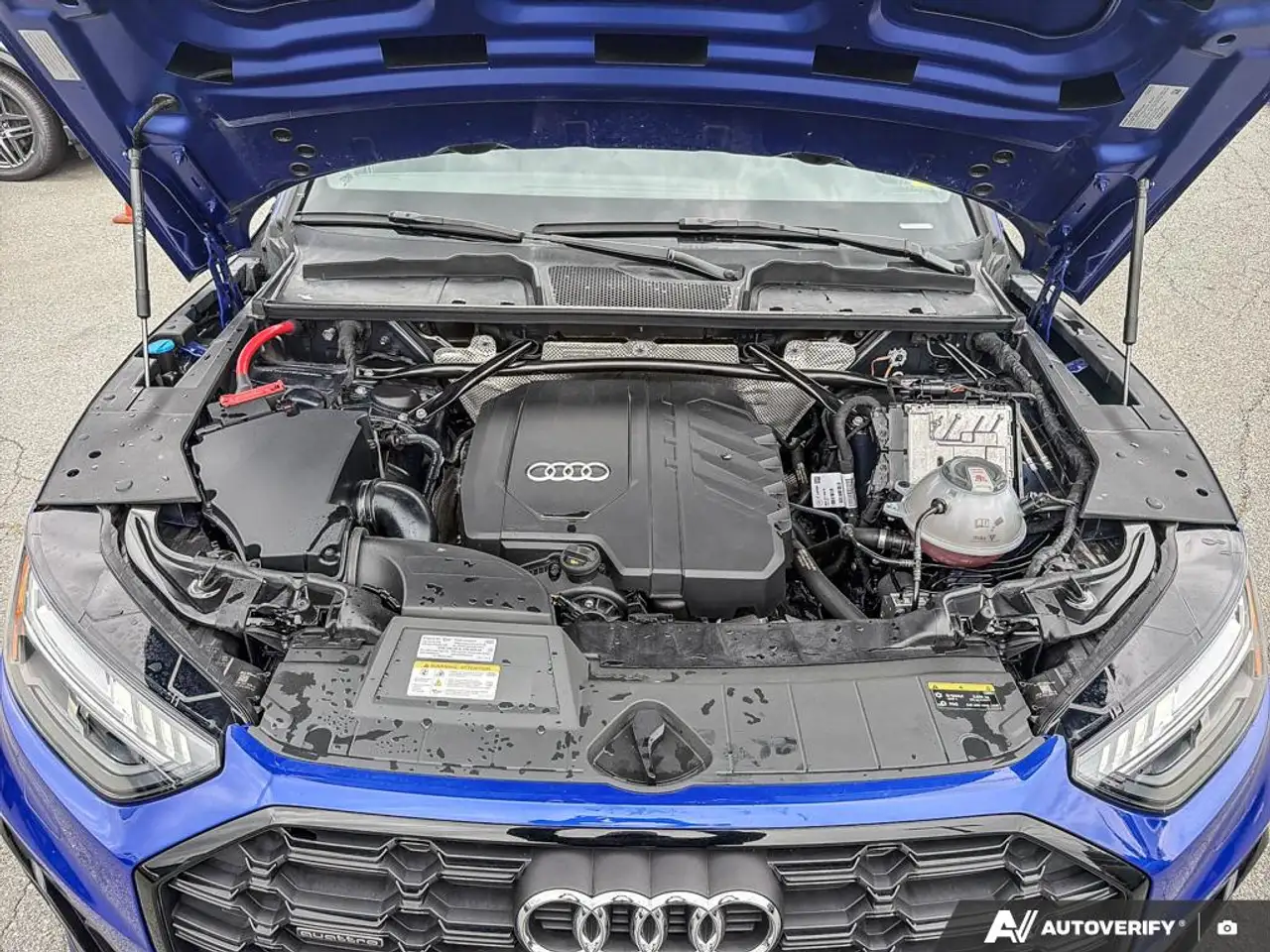 Audi Q5 - Image 10