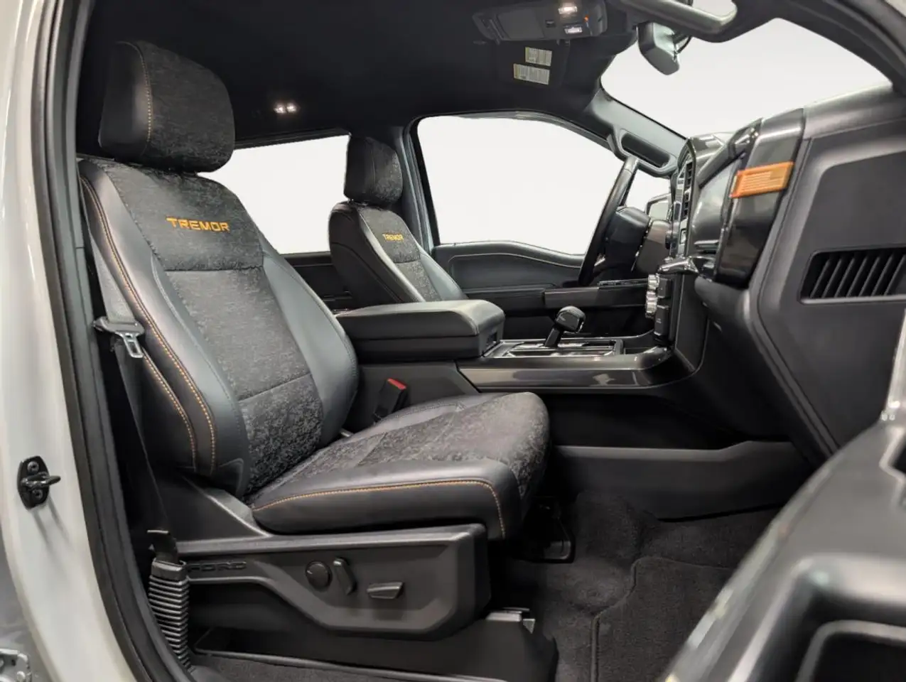 Ford F-150 - Image 9