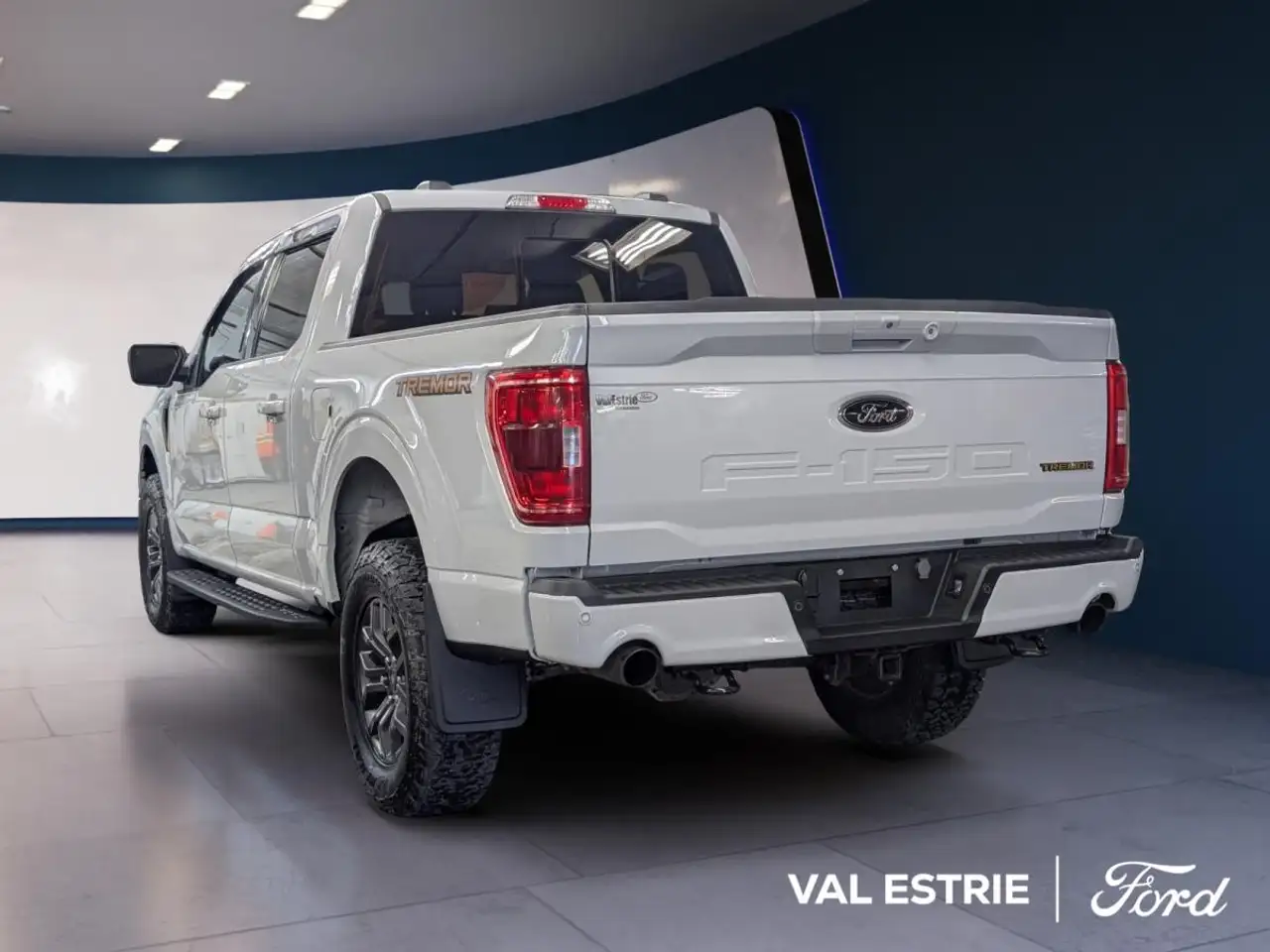 Ford F-150 - Image 3