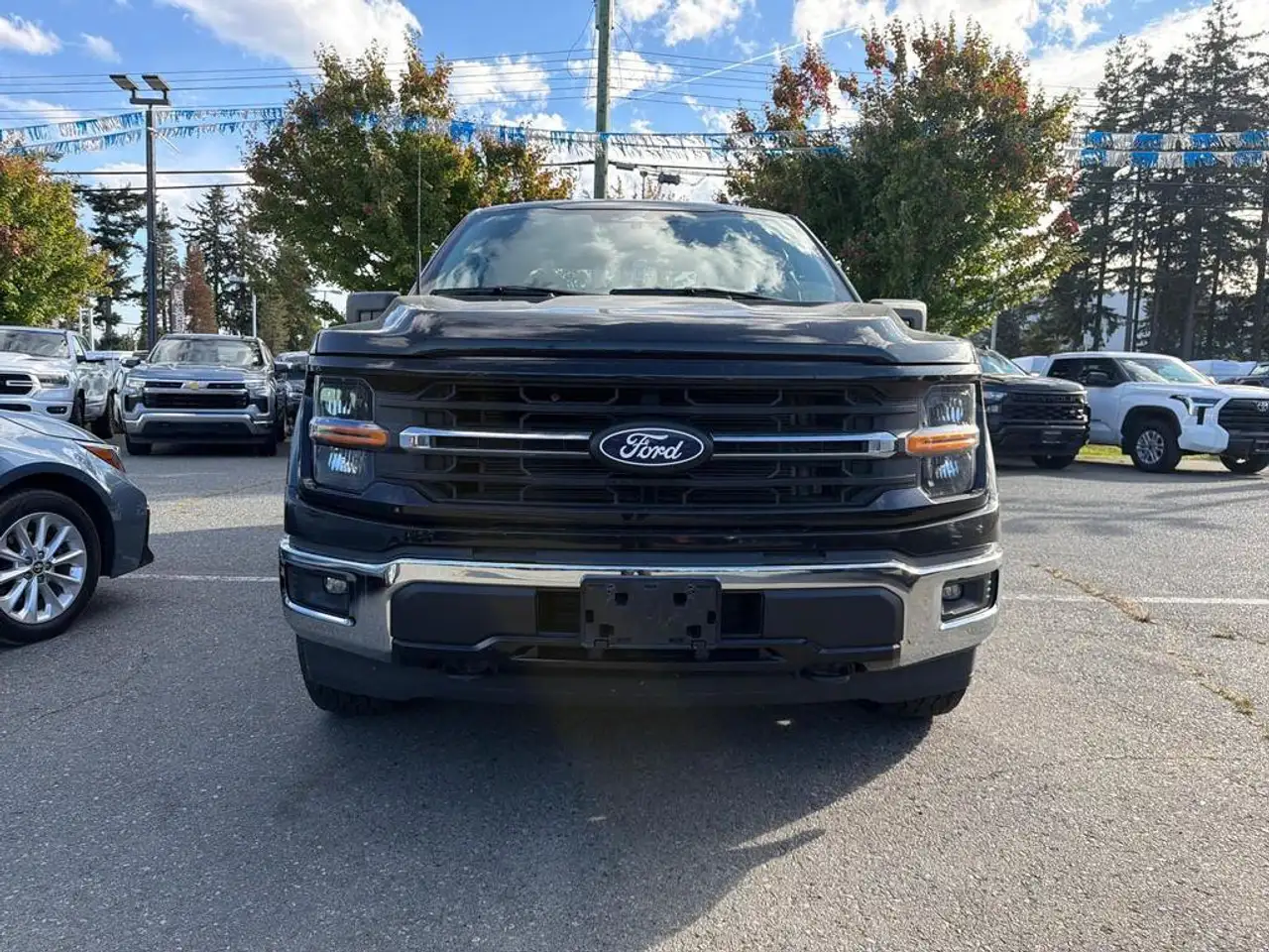 Ford F-150 - Image 2