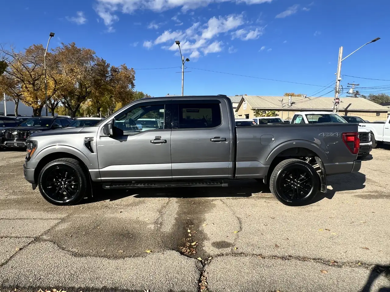 Ford F-150 - Image 4