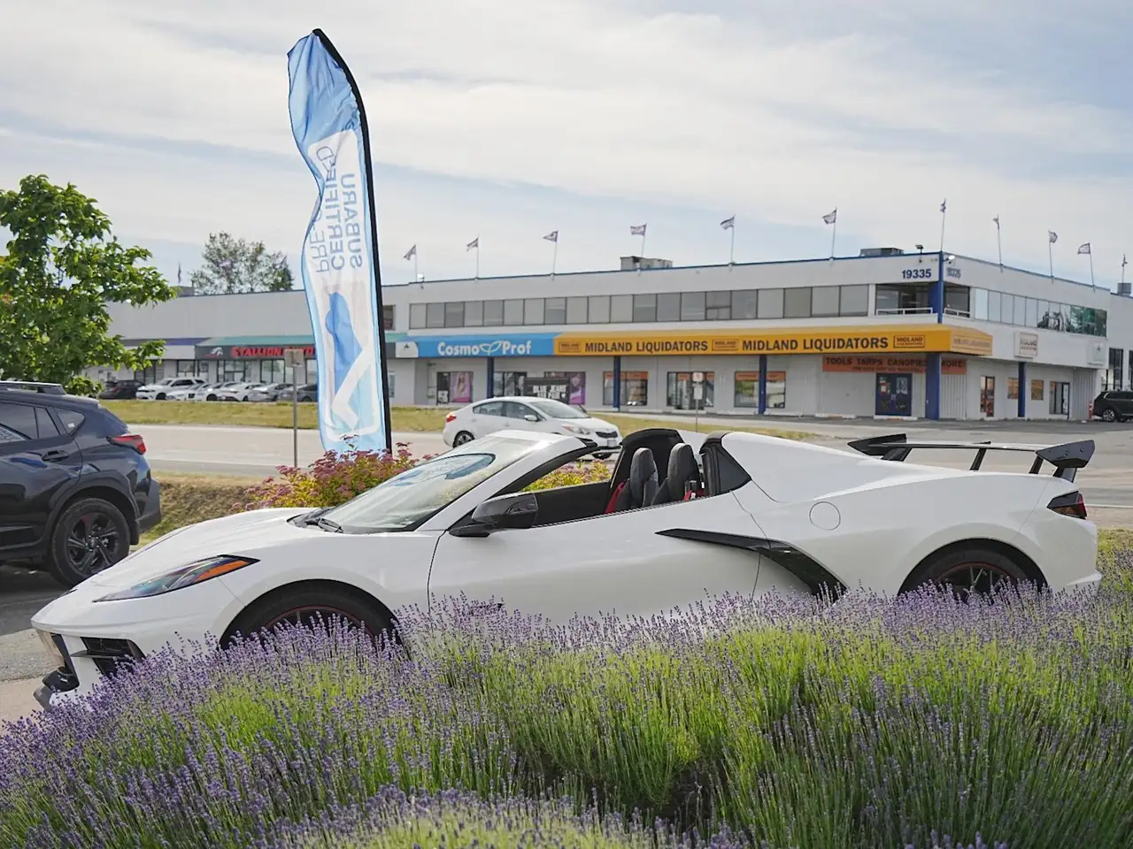 Chevrolet Corvette - Image 4