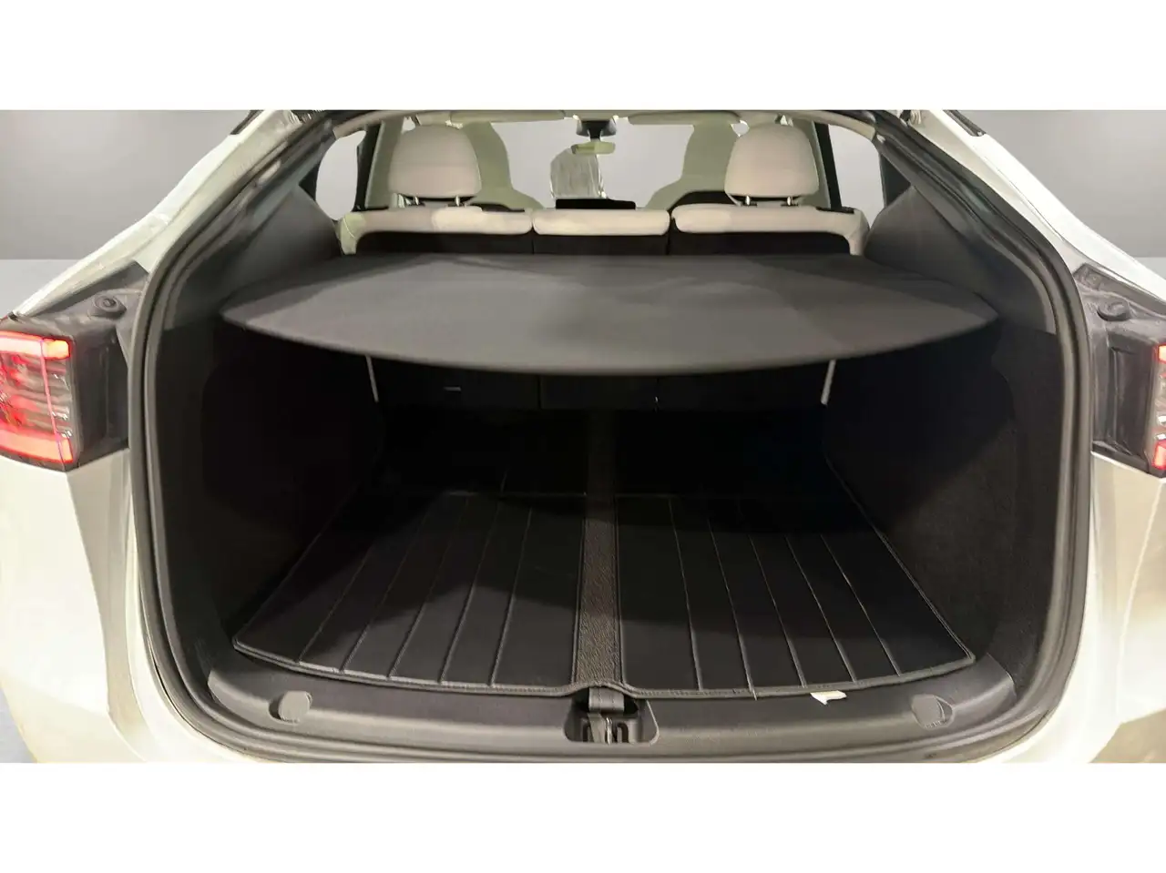 Tesla Model Y - Image 22