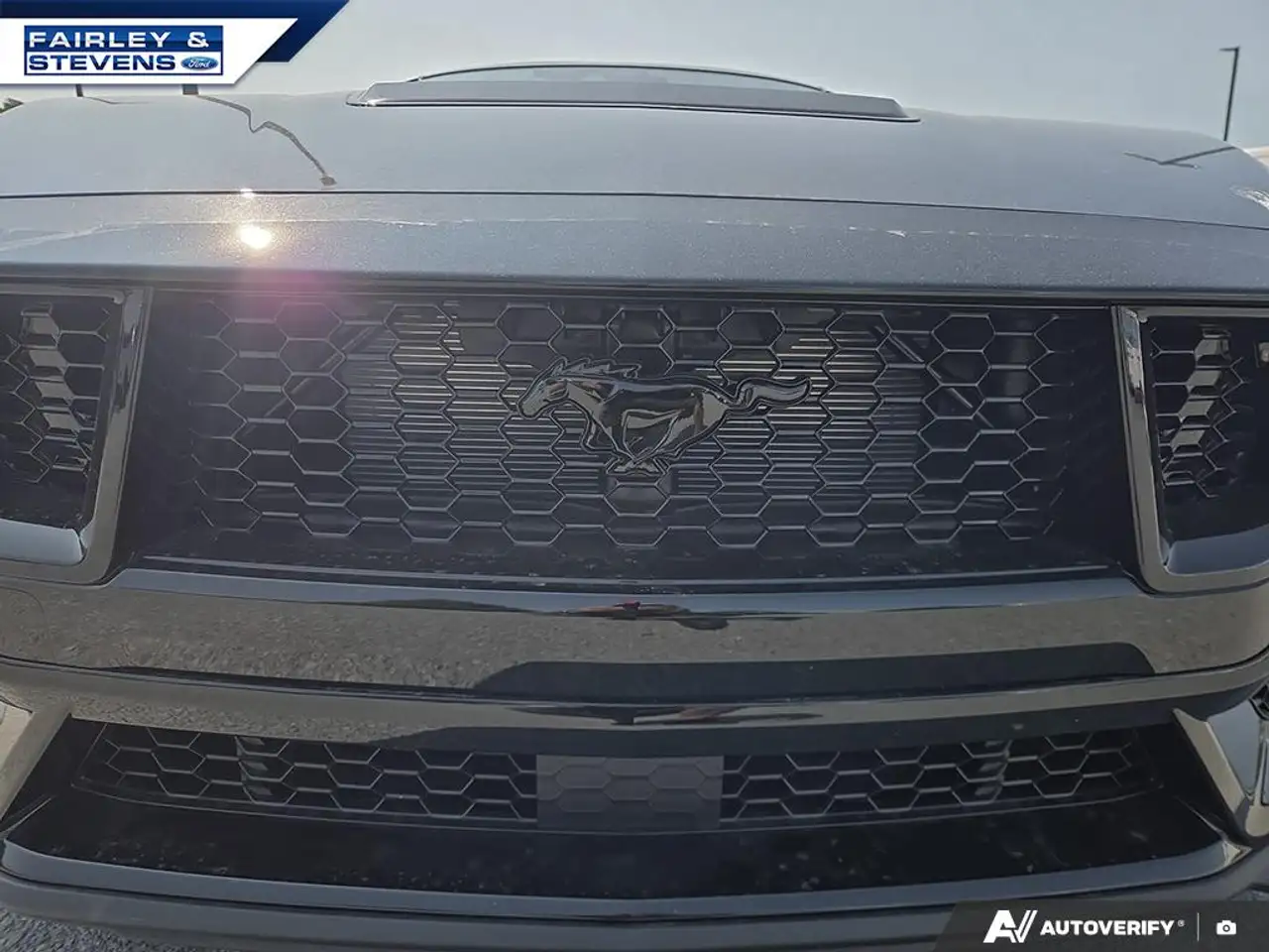 Ford Mustang - Image 9