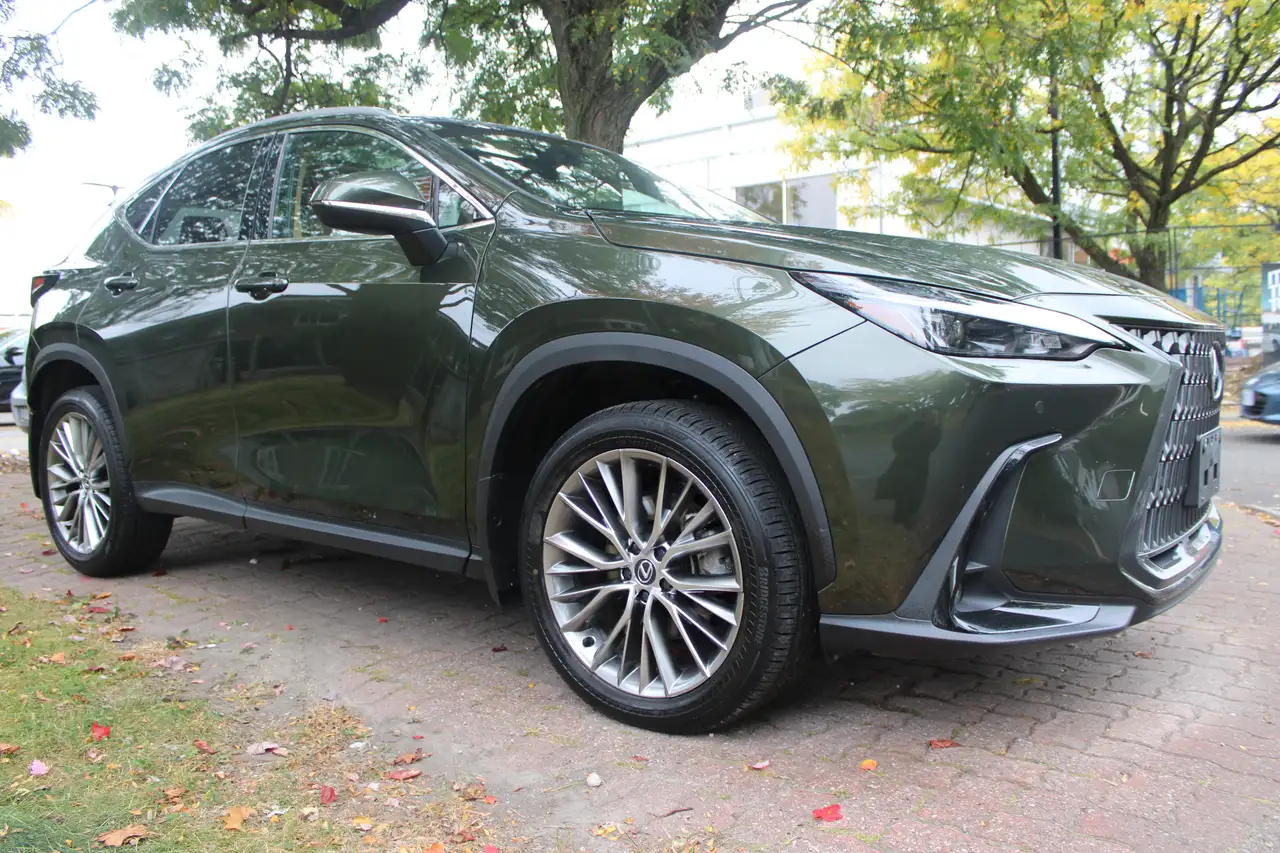 Lexus NX - Image 3