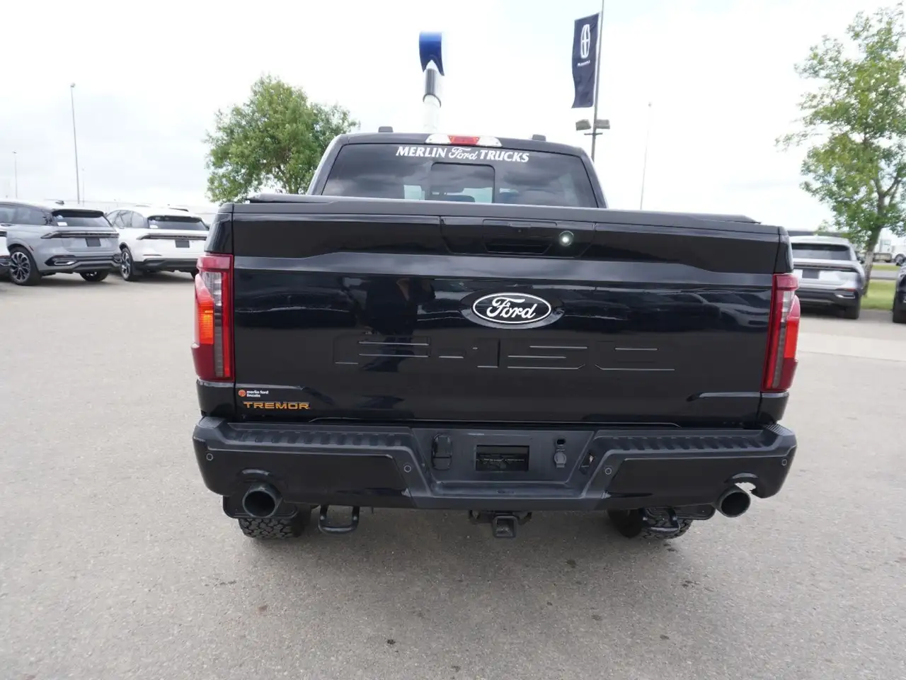 Ford F-150 - Image 6