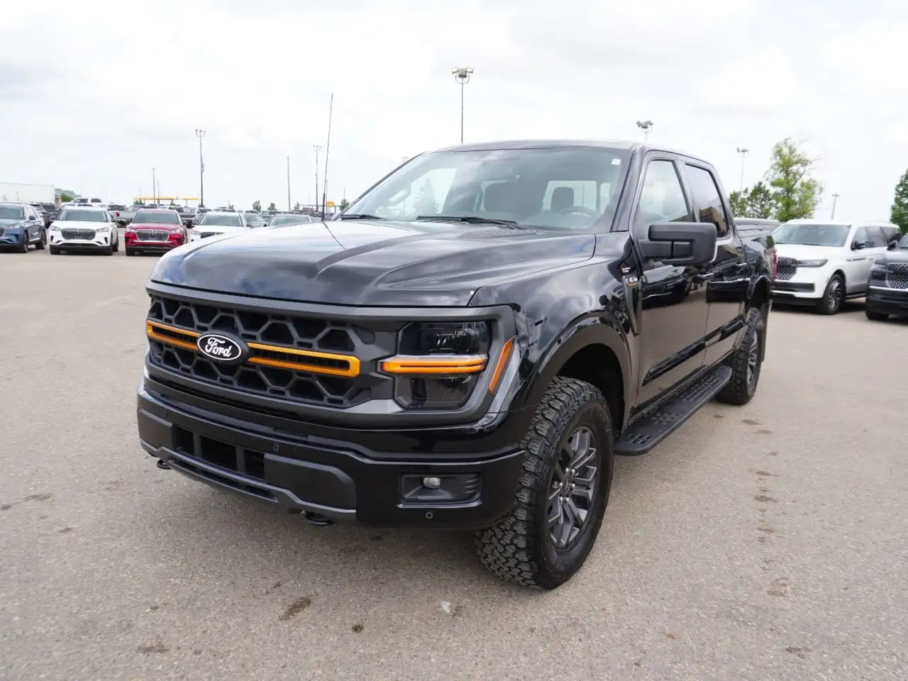 Ford F-150 - Image 3