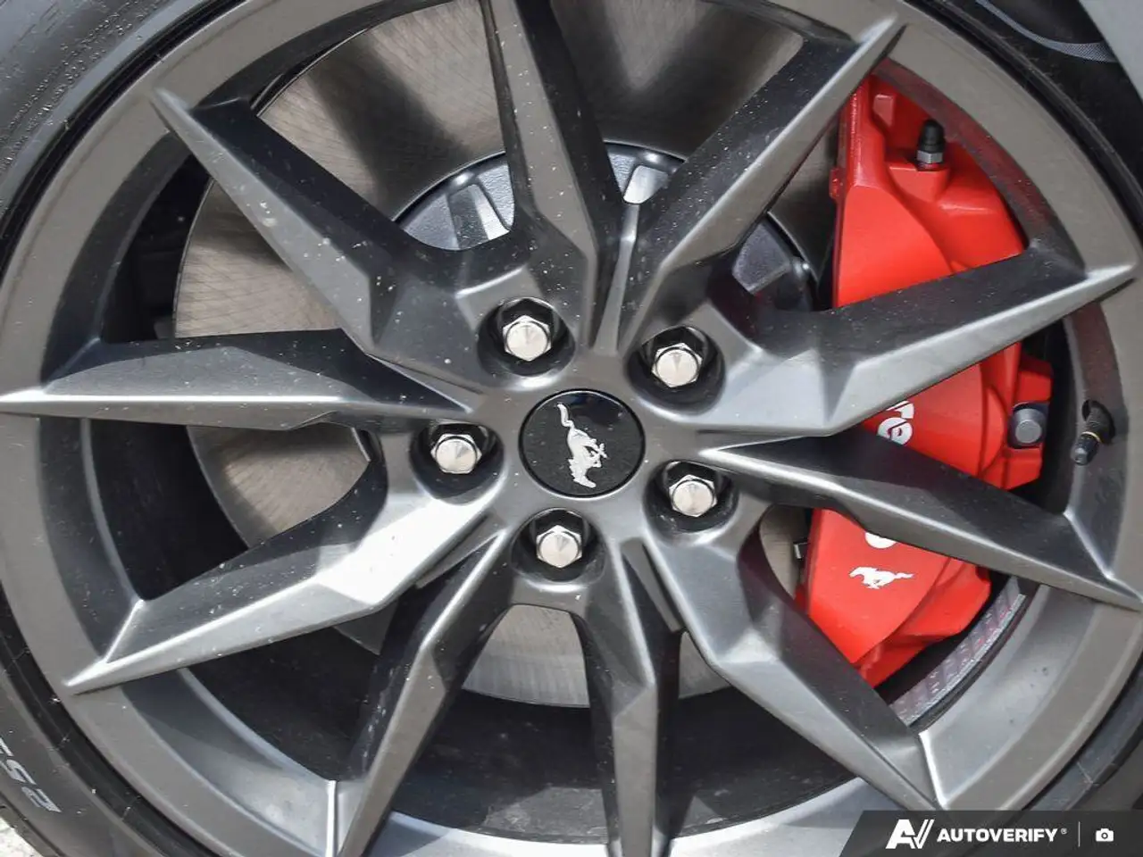 Ford Mustang - Image 8