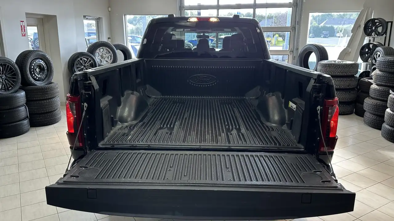 Ford F-150 - Image 6