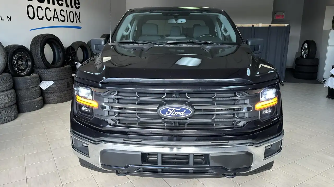 Ford F-150 - Image 9
