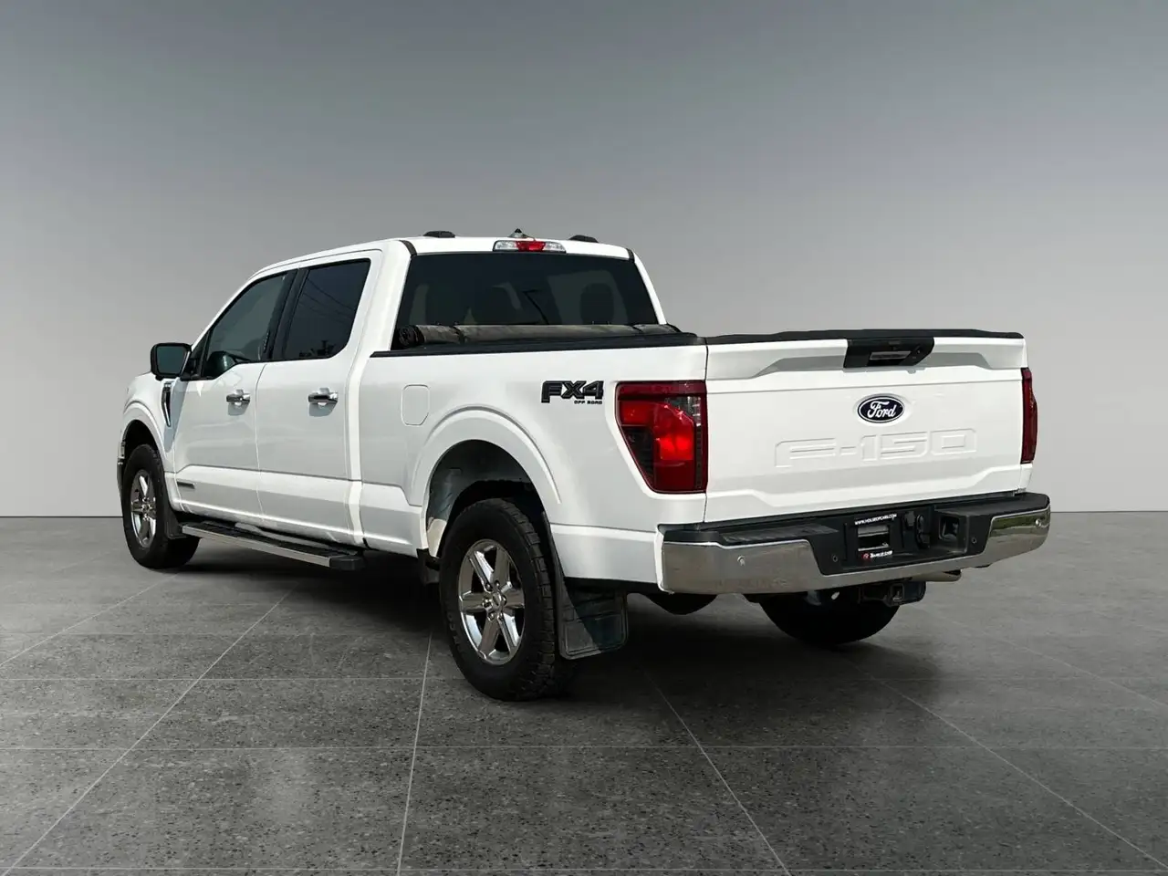 Ford F-150 - Image 3