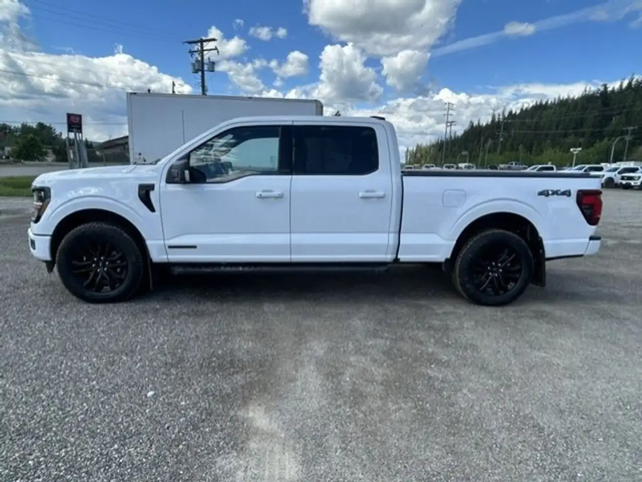 Ford F-150 - Image 2