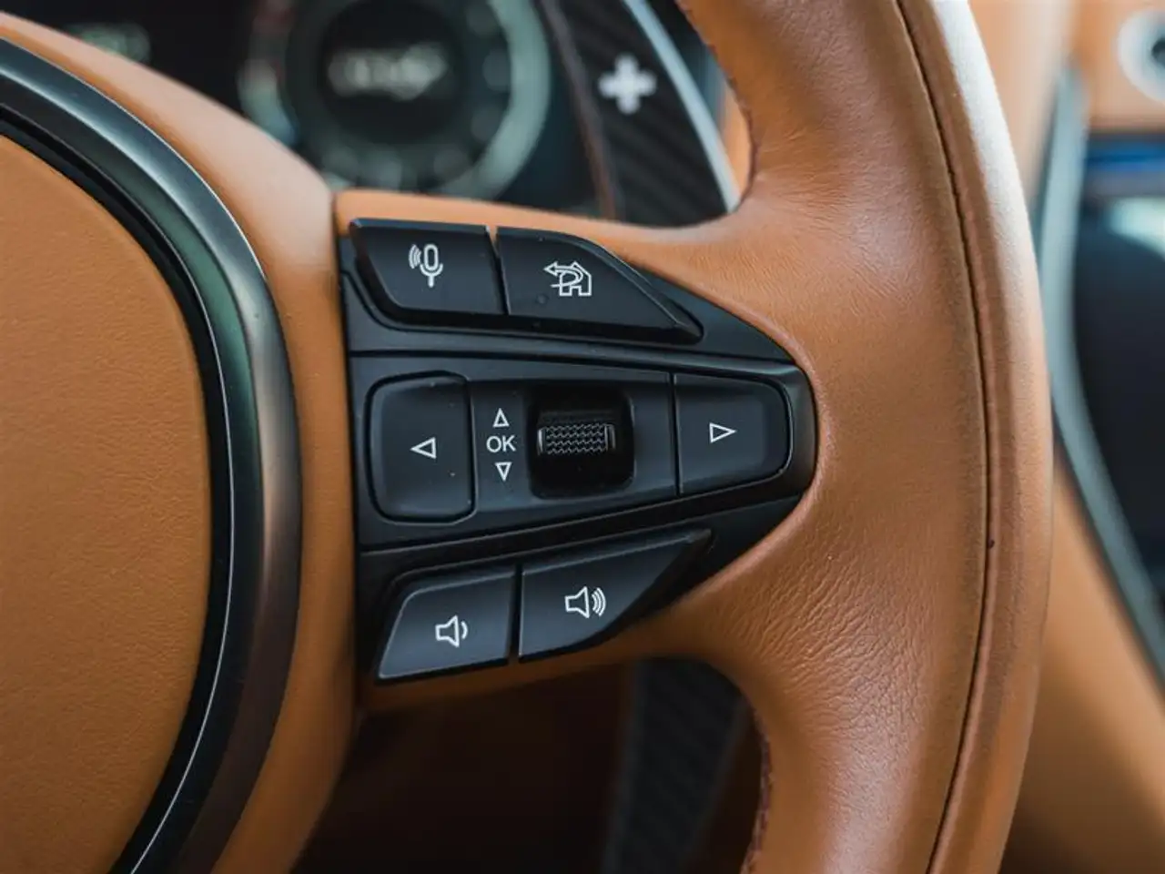 Aston Martin DBX - Image 20
