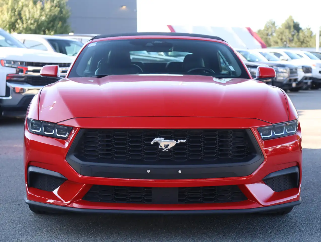 Ford Mustang - Image 5