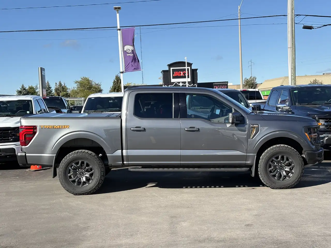 Ford F-150 - Image 4